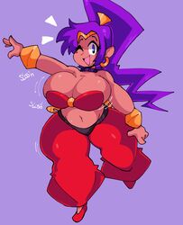 1girls belly_dancer big_breasts breasts dork_boi female lewd_dorky navel shantae shantae_(character) sloshing_breasts thick_thighs wide_hips rating:Explicit score:46 user:Tyehrj