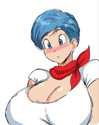 big_boobs blue_eyes blue_eyes_female blue_hair blue_hair_female blush blushing bulma_briefs dragon_ball dragon_ball_super dragon_ball_z female milf momiji_(artist) toei_animation white_background white_shirt rating:Safe score:51 user:Berd151