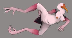  1girls anthro avian bird crane_(bird) female genitals hi_res presenting pussy slightly_chubby stork  rating:explicit score: user:bot