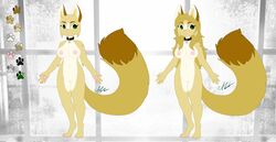  anthro areola big_breasts bittervow breasts domestic_cat felid feline felis female fluffy fluffy_tail hi_res levi_kyros mammal model_sheet nipples solo tail valta  rating:explicit score: user:bot