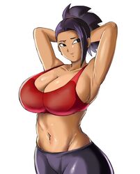 big_breasts breasts busty dragon_ball kale panarandom rating:Explicit score:39 user:DragonBootyZ