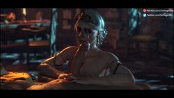 ciri empress_ciri partial_male the_witcher_(series) the_witcher_3:_wild_hunt tomoganim rating:Explicit score:92 user:Zireaell