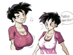 big_breasts black_hair dragon_ball dragon_ball_z huge_breasts huge_tits huge_tits_teen pink_topwear pseudocel teenage_girl tight_clothing top_heavy videl white_topwear rating:Explicit score:139 user:Kaiokenx34