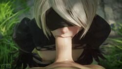 1boy 1girls 3d android animated blindfold blowjob bouncing_breasts cleavage deep_penetration deepthroat fellatio hair_between_eyes kneeling nier nier:_automata nier_(series) nipples no_bra open_mouth short_hair small_breasts uncensored white_hair yeero yorha_2b rating:Questionable score:384 user:HentaiHaremKing