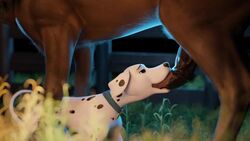 101_dalmatians 3d animal_genitalia animal_penis animated balls black_nose blowjob brown_balls brown_body brown_fur canid canine canis carrot_(artist) collar dalmatian dark_penis deep_throat deepthroat_smile digital_media_(artwork) disney domestic_dog duo equid equine equine_genitalia equine_penis eyebrows fellatio female female_penetrated feral feral_on_feral feral_penetrated feral_penetrating feral_penetrating_feral fur genitals grass happy hi_res horse horsecock interspecies larger_male male male/female male_penetrating male_penetrating_female mammal medial_ring mp4 oral oral_sex outside penetration penile penis perdita pink_tongue plant sex size_difference sliding sliding_down_throat smaller_female sound sound_effects spots tail tail_motion tailwag throat_barrier tongue tongue_out vein veiny_penis video webm white_body white_fur rating:Explicit score:493 user:Idk.i.d.k.