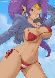 1girls big_breasts bikini bikini_bottom bikini_top blue_eyes bottomwear breasts cleavage ear_piercing earrings female female_only hips hoop_earrings huge_breasts one_eye_closed pointy_ears ponytail purple_hair red_bikini shantae shantae_(character) solo solo_female striped_bikini swimwear thighs topwear wink winking zelc-face rating:Questionable score:83 user:daft_human