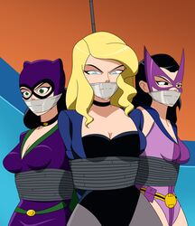 batman:_the_brave_and_the_bold batman_(series) bennypaan birds_of_prey black_canary bondage catwoman dc dc_comics huntress_(dc) restrained rope_bondage tape_gag rating:Explicit score:26 user:CyanMoon