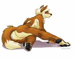 2011 anthro canine female fox fur furry hindpaw looking_at_viewer nude paws pinup plain_background pussy solo wfa white_background rating:Explicit score:5 user:bot