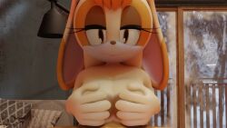  1boy 1girls 3d anthro_on_human huge_breasts large_breasts paizuri sonic_(series) sonic_the_hedgehog_(series) tagme titjob vanilla_the_rabbit video virtualust  rating:explicit score: user:bot