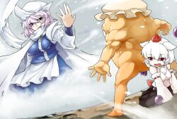  2girls aki_minoriko animal_ears breasts commentary_request detached_sleeves food from_behind fruit grapes grey_hair hat inubashiri_momiji large_breasts letty_whiterock multiple_girls phenne purple_eyes purple_hair red_eyes scarf tears tokin_hat torn_clothes touhou white_hair white_scarf wolf_ears 