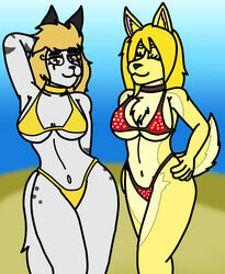  anthro beach bikini canid canine clothing collar dank-artistic-fox duo female female/female front_view hi_res mammal polka_dot_bikini sarah_(galajo) swimwear three-quarter_view 