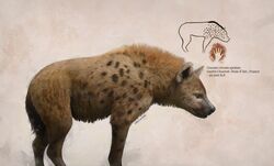  ambiguous_gender brown_body brown_fur cave_hyena cave_painting extinct feral fur hi_res hyena julio_lacerda mammal prehistoric_species quadruped scientific_name solo spotted_hyena tail 