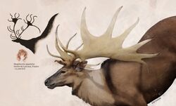  antlers brown_body brown_fur cave_painting cervine deer extinct feral fur hi_res horn inner_ear_fluff julio_lacerda male mammal megaloceros prehistoric_species scientific_name solo tuft 