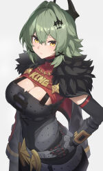  black_horns black_jacket breasts caesar_king_(zenless_zone_zero) cleavage closed_mouth female from_above fur-trimmed_jacket fur_trim green_hair hair_between_eyes hair_intakes hair_ornament hand_on_own_hip highres horns jacket large_breasts long_hair looking_at_viewer mechanical_arms prosthesis prosthetic_arm reulem single_mechanical_arm solo yellow_eyes zenless_zone_zero 