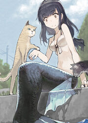  bad_id bad_pixiv_id bikini bikini_top_only black_hair day feline female fins highres long_hair mermaid monster_girl original outdoors pawing sitting swimsuit tefec 