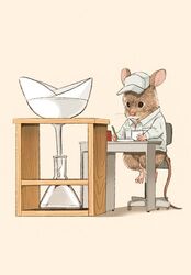  animal beaker chair clothed_animal commentary_request desk fujiwara_yoshito funnel glass lab_coat mouse_(animal) no_humans original pink_background science simple_background sitting solo white_headwear writing 