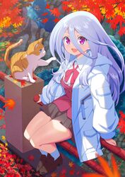  :d animal autumn autumn_leaves blazer bow bowtie day falling_leaves feline female full_body grey_hair hair_between_eyes highres jacket kneehighs leaf loafers long_hair looking_at_viewer open_mouth original outdoors pleated_skirt purple_eyes school_uniform shoes sitting skirt smile socks somasoutaro 