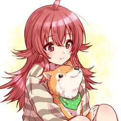  animal animal_on_lap blush canine closed_mouth female highres idolmaster idolmaster_shiny_colors komiya_kaho kuroi_mimei long_hair long_sleeves looking_at_another looking_down mamemaru_(shiny_colors) on_lap red_eyes red_hair scarf shiba_inu shirt sitting smile striped_clothes striped_shirt upper_body 