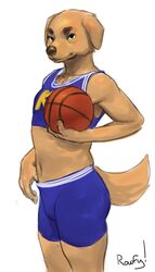  absurd_res air_bud anthro anthrofied ball basketball basketball_(ball) bird_dog black_text bottomwear brown_nose buddy_(air_bud) canid canine canis clothed clothing crop_top digital_media_(artwork) domestic_dog english_text fur golden_retriever handwritten_text hi_res holding_ball holding_object humanoid_hands hunting_dog jersey looking_aside looking_at_viewer male mammal midriff portrait print_clothing print_jersey print_topwear retriever rowf shaded shirt shorts side_view simple_background soft_shading solo standing tan_body tan_fur tank_top text text_on_clothing text_on_jersey text_on_topwear text_print three-quarter_portrait tight_clothing topwear white_background 