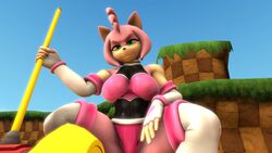  16:9 3d_(artwork) amy_rose anthro big_breasts breasts digital_media_(artwork) female green_eyes hi_res looking_at_viewer sega skippyarts solo sonic_the_hedgehog_(series) source_filmmaker_(artwork) widescreen 