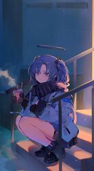  bare_legs black_mittens black_scarf blue_archive blush female halo highres koio looking_at_viewer mechanical_halo mittens outdoors purple_eyes purple_hair scarf smile solo squatting stairs steam two_side_up yuuka_(blue_archive) 