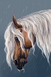  ambiguous_gender blue_eyes bust_portrait dolehest dripping_wet equid equine feral headshot_portrait hi_res horse julietterri male_(lore) mammal maxym_(bloopertrooper) portrait raining simple_background solo water 