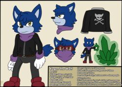  bandana bottomwear canid canine canis clothing eyewear fan_character flat_colors footwear gloves goggles handwear hi_res jacket kagen_the_wolf kerchief male mammal model_sheet pants safety_goggles sega shoes solo sonic_the_hedgehog_(series) text topwear wildwolfproduction wolf 