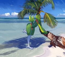  absurd_res amazon_parrot anthro ass avian beach bird bulge clothing cloud eyewear feathers green_body green_feathers hi_res looking_at_viewer male neotropical_parrot nolansnsfw on_one_leg outside palm_tree parrot plant sea seascape seaside sky small_waist solo speedo standing sunglasses swimwear thick_thighs tree true_parrot water yellow-headed_amazon 