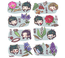  1boy 2girls :d :q =_= ^_^ artist_name bellflower blank_eyes blue_flower blunt_bangs blush bow braided_hair_rings brown_hair bud cacao_fruit chibi chinese_bellflower chinese_peony closed_eyes commentary_request dried_fruit drooling eating eating_flower flower foaming_at_the_mouth food freckles fruit gentiana_(flower) giving_up_the_ghost gloom_(expression) grey_hair hairbow half_updo happy hawthorn_(plant) hecha jinshi_(kusuriya_no_hitorigoto) kusuriya_no_hitorigoto leaf_in_mouth lily_of_the_valley long_hair maomao_(kusuriya_no_hitorigoto) medicine mouth_hold multiple_girls multiple_views peony_(flower) petal_in_mouth petals_in_mouth pink_flower plant_roots poison_(final_fight) purple_flower purple_hair red_flower seed sidelocks smile tanghulu tongue tongue_out translated twintails vomiting white_flower wolfsbane_(flower) xiaolan_(kusuriya_no_hitorigoto) yellow_bow 