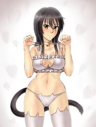  artist_request bell black_hair bra breasts brown_eyes cat_cutout cat_ear_panties cat_lingerie cat_tail choker cleavage cleavage_cutout clothing_cutout collar coppelion female highres jingle_bell lingerie long_hair meme_attire naruse_ibara navel neck_bell panties paw_pose smile solo tail thighhighs underwear white_bra 