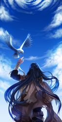  1boy alter_(silent_mute) animal arm_up back bad_id bad_pixiv_id bandaged_arm bandages bird black_hair blue_sky boris_jinneman cloud day flying from_behind long_hair male_focus outdoors sky solo tales_weaver very_long_hair 