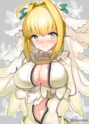  akasakak bad_id bad_pixiv_id blonde_hair blush breasts fate/extra fate/extra_ccc fate_(series) female green_eyes hair_intakes large_breasts long_hair looking_at_viewer navel nero_claudius_(bride)_(fate) nero_claudius_(fate) smile solo twitter_username unzipped 