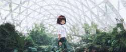  bird blurry blush bow bowtie brown_eyes brown_hair choker commentary depth_of_field facial_mark female greenhouse hair_ribbon highres indoors looking_at_viewer looking_to_the_side md5_mismatch nature original photoshop_(medium) plant ribbon scenery school_uniform sleeves_rolled_up solo tan tifg39 wristband 