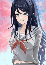  absurdres alternate_breast_size_(larger) arms_behind_back astr125412 black_hair blue_eyes blurry blurry_background blush breasts cherry_blossoms closed_mouth collarbone commentary_request day dot_nose falling_petals female grey_sailor_collar grey_shirt hair_between_eyes highres hoshino_ichika_(project_sekai) large_breasts long_hair long_sleeves looking_at_viewer midriff_peek miyamasuzaka_girls'_academy_school_uniform navel neckerchief outdoors petals pink_petals project_sekai red_neckerchief sailor_collar school_uniform serafuku shirt sidelocks smile solo upper_body 
