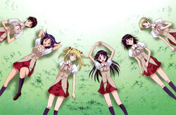  6+girls black_hair blonde_hair breasts highres large_breasts long_hair looking_at_viewer lying miniskirt multiple_girls on_back on_floor on_grass on_ground open_mouth outdoors sarah_adiemus sawachika_eri school_rumble school_uniform short_hair skirt small_breasts smile suou_mikoto takano_akira tsukamoto_tenma tsukamoto_yakumo twintails 