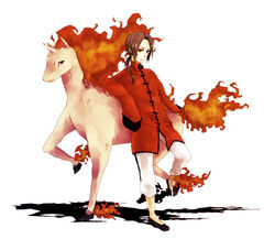  axis_powers_hetalia brown_eyes brown_hair china_(hetalia) chinese_clothes crossover hands_in_sleeves long_hair long_sleeves male male_focus pokemon ponytail rapidash wide_sleeves 