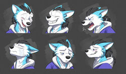  2018 anthro black_hair blue_body blue_clothing blue_eyes blue_fur blue_hoodie blue_topwear blush bodily_fluids bust_portrait canid canine canis closed_eyes clothing countershading crying ears_back expression_sheet fur hair hoodie looking_down male mammal multiple_images one_eye_closed open_mouth pink_tongue pivoted_ears ponytail portrait rou_kemonone smile solo tears teeth temiree tongue topwear utau wink wolf yelling 