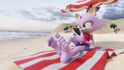  16:9 3d_(artwork) 5_toes anthro barefoot beach beach_towel blaze_the_cat cellphone curling_toes digital_media_(artwork) domestic_cat electronics feet feetymcfoot felid feline felis female foot_focus hi_res humanoid_feet mammal phone plantigrade seaside sega smartphone soles solo sonic_the_hedgehog_(series) toes towel widescreen 