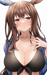  admire_vega_(umamusume) animal_ears bikini black_bikini blue_shirt blush breasts brown_hair cleavage closed_mouth collarbone ear_covers female front-tie_bikini_top front-tie_top hand_on_own_chest horse_ears horse_girl large_breasts long_hair long_sleeves looking_at_viewer low_ponytail open_clothes open_shirt purple_eyes red_hayao shirt simple_background solo swimsuit umamusume upper_body white_background 