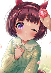  1boy animal_ears blush brown_hair collared_dress commentary_request dress female flower green_dress hair_flower hair_ornament hairband hairclip hand_on_own_chest hand_up headpat highres horse_ears horse_girl horse_tail long_sleeves masshirokachi nishino_flower_(umamusume) one_eye_closed out_of_frame parted_lips petals puffy_long_sleeves puffy_sleeves purple_eyes red_flower red_hairband short_hair solo_focus tail trainer_(umamusume) umamusume white_background x_hair_ornament 