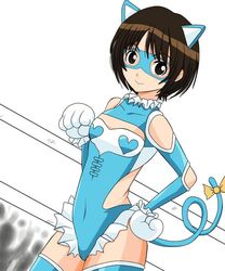  amagami animal_ears blue_leotard boxing_ring brown_hair commentary_request cosplay female hand_on_own_hip heart leotard mask parody rainbow_mika rainbow_mika_(cosplay) short_hair solo street_fighter tachibana_miya tail takemi_kaoru thighhighs 