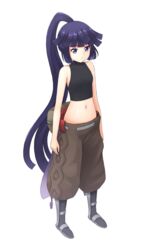  akatsuki_(log_horizon) aposine breasts brown_pants commentary crop_top female floating_hair full_body high_ponytail highres log_horizon long_hair midriff navel pants parted_lips purple_eyes purple_hair simple_background sleeveless small_breasts solo standing stomach turtleneck very_long_hair white_background 