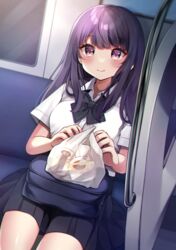  bad_id bad_pixiv_id bag black_bow black_skirt blush bow breasts closed_mouth collared_shirt commentary_request dress_shirt female food highres long_hair medium_breasts minami_saki original plastic_bag pleated_skirt pudding purple_eyes purple_hair school_bag school_uniform shirt short_sleeves skirt smile solo train_interior transparent white_shirt 