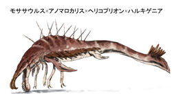  anomalocaris ari_hinoko character_name commentary_request fusion hallucigenia helicoprion mosasaurus no_humans original prehistoric_animal simple_background translated white_background 