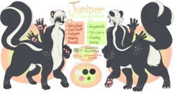  2019 4_arms english_text front_view gesture juniper_skunktaur male mammal mammal_taur mephitid mephitid_taur model_sheet multi_arm multi_limb nude pawpads rear_view reine.du.soleil skunk skunk_taur solo standing taur text waving 