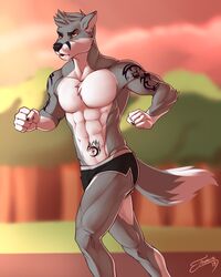  2019 4:5 5_fingers abs anthro canid canine canis claws clothing digital_media_(artwork) dipstick_tail feralise fingers fur gogowolf male mammal markings multicolored_body muscular muscular_anthro muscular_male orange_eyes outside running solo tail tail_markings tattoo two_tone_body two_tone_tail wolf 