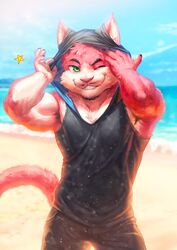  2019 absurd_res anthro beach biceps clothed clothing facial_hair felid fur hi_res kemono male mammal nviek5 one_eye_closed outside seaside solo wink 