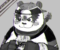  2019 a_vwxyz absurd_res alp_(tas) anthro bear blush clothing giant_panda hat headgear headwear hi_res humanoid_hands illust_shota japanese_text lifewonders male mammal shirt solo text tokyo_afterschool_summoners topwear 