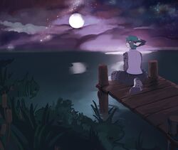  anthro arh bottomwear clothed clothing cloud denim denim_clothing detailed_background digital_media_(artwork) felid feline fluffy fully_clothed fur lake landscape lynx male mammal moon night outside reflection relaxing shirt shorts solo star tank_top topwear vincent_lynx water 