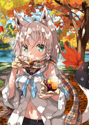  absurdres ahoge animal_ear_fluff animal_ears autumn autumn_leaves blurry blurry_background blurry_foreground braid breasts commentary day depth_of_field detached_sleeves earrings eating female food food_on_face fox_ears fox_girl fox_tail green_eyes grey_hair hair_between_eyes highres holding holding_food hololive jewelry lake leaf long_hair looking_at_viewer maple_leaf md5_mismatch medium_breasts miyabi_(miyabeeya) nature navel open_clothes outdoors plaid plaid_scarf resolution_mismatch roasted_sweet_potato scarf shirakami_fubuki shirakami_fubuki_(1st_costume) side_braid single_braid single_earring solo source_smaller steam sweet_potato tail virtual_youtuber wide_sleeves 